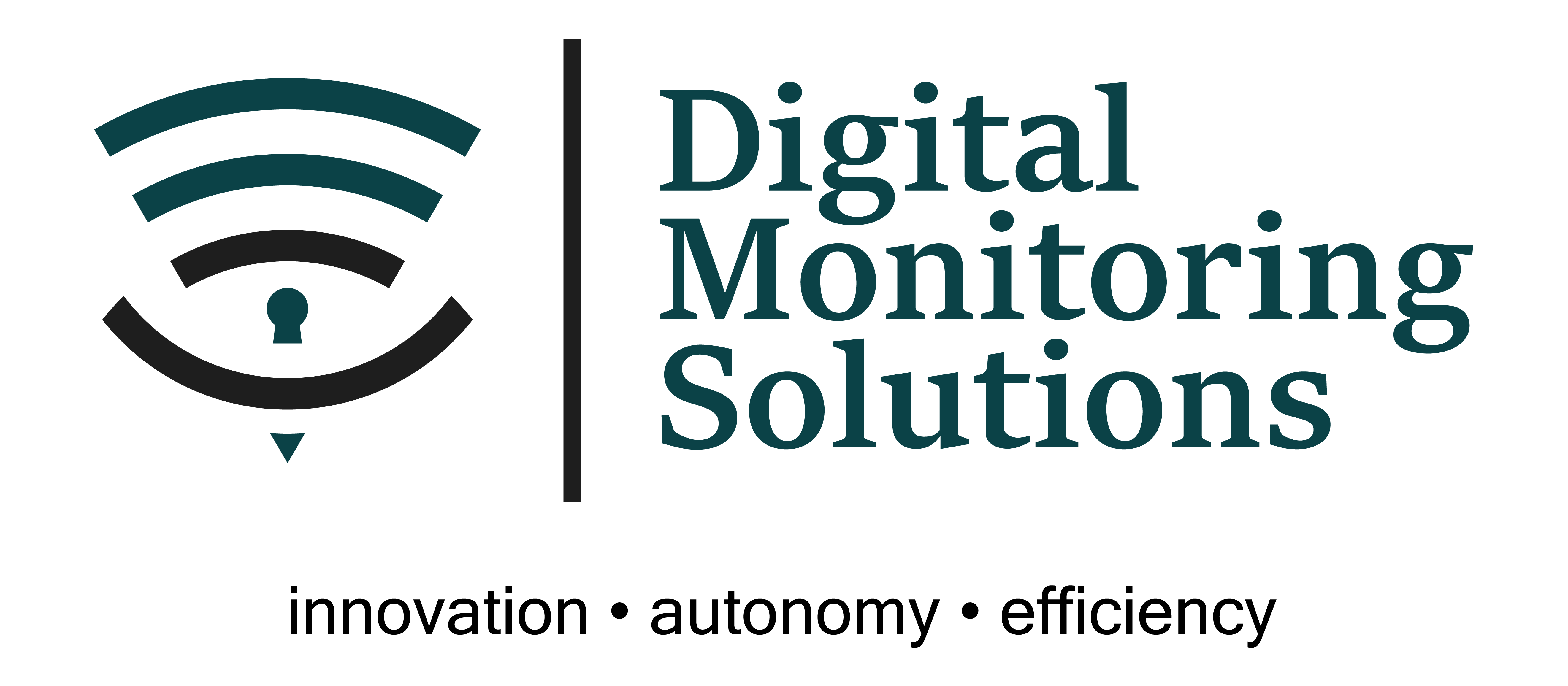 DMS — Digital Monitoring Solutions